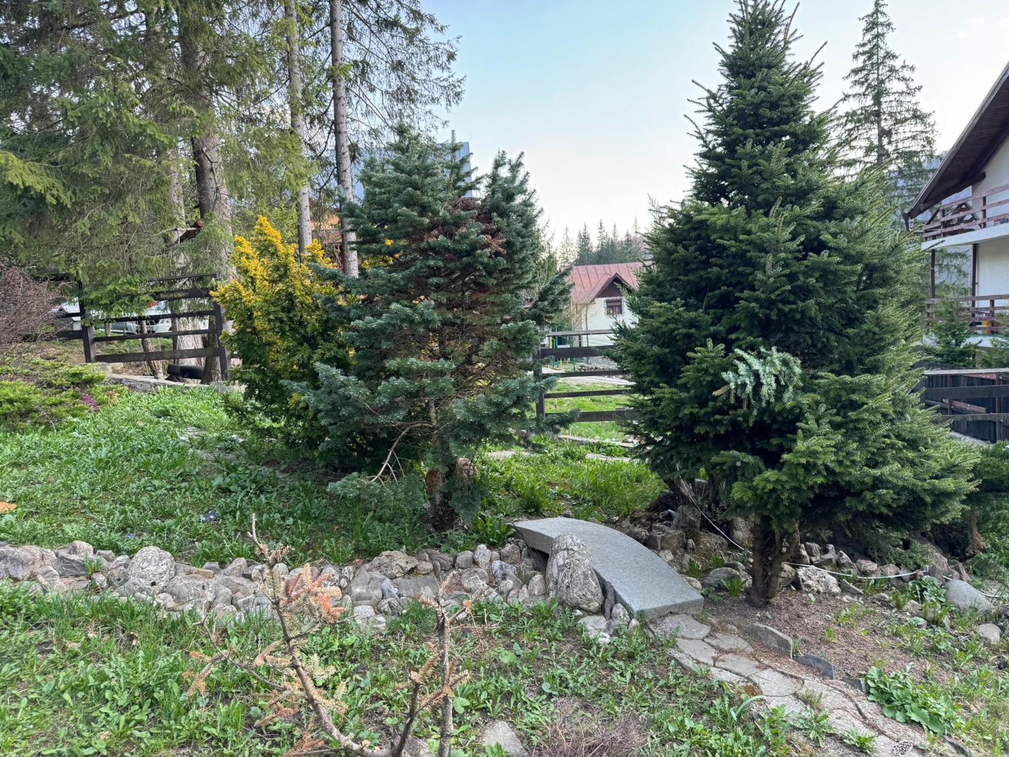 Vila Babylon Predeal Buitenkant foto